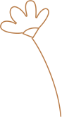 3526a5af565d47c5b7ae5cf37c7d7dcc.png
