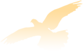 88820d8c72364d01b356dc73f7430bf0.png 88820d8c72364d01b356dc73f7430bf0.png